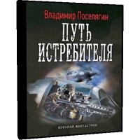 Путь истребителя - Владимир Поселягин