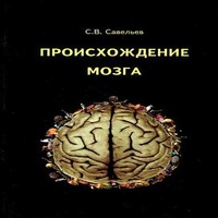 Происхождение мозга (аудиокнига)