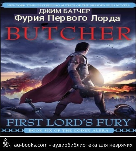 обложка аудиокниги Фурия первого лорда