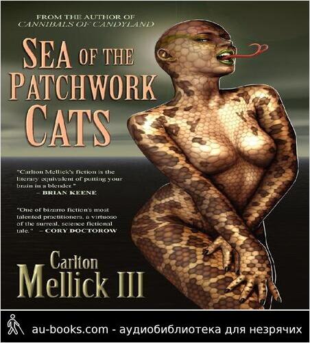 обложка аудиокниги Море лоскутных кошек