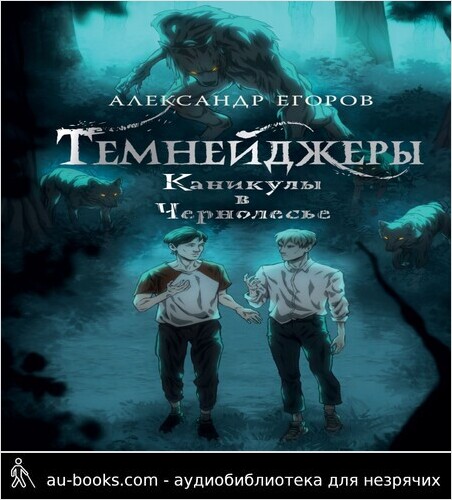 обложка аудиокниги Каникулы в Чернолесье