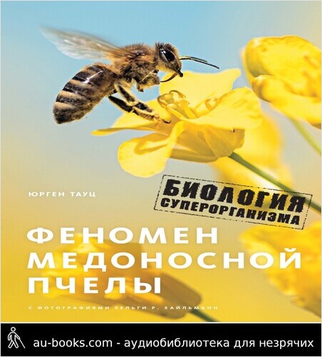 обложка аудиокниги Феномен медоносной пчелы. Биология суперорганизма