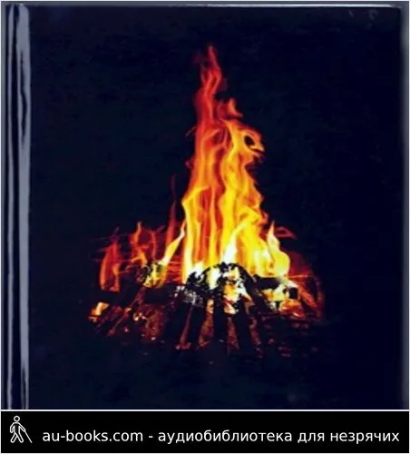 обложка аудиокниги 666 градусов по Фаренгейту (температура, при которой горит ведьма)