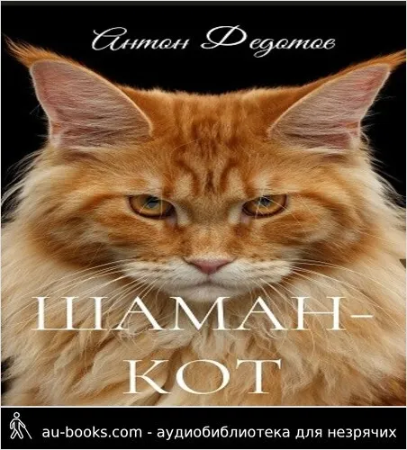 обложка аудиокниги Шаман-Кот