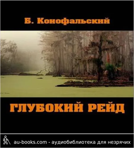 обложка аудиокниги Глубокий рейд