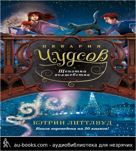 обложка аудиокниги Щепотка волшебства