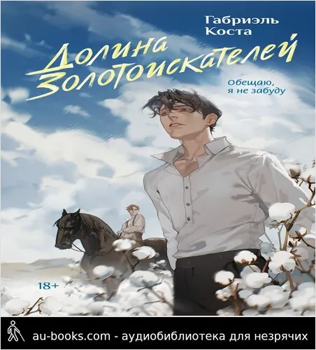 обложка аудиокниги Долина золотоискателей