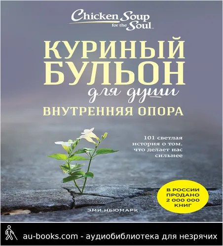 обложка аудиокниги Куриный бульон для души. Внутренняя опора. 101 светлая история о том, что делает нас сильнее