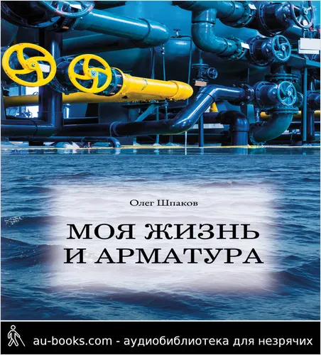 обложка аудиокниги Моя жизнь и арматура