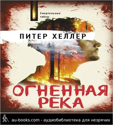 обложка аудиокниги Огненная река