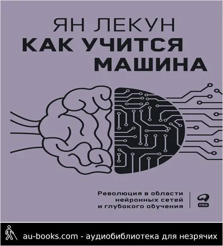 обложка аудиокниги Как учится машина. Революция в области нейронных сетей и глубокого обучения