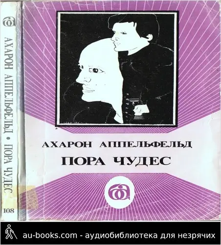 обложка аудиокниги Пора чудес