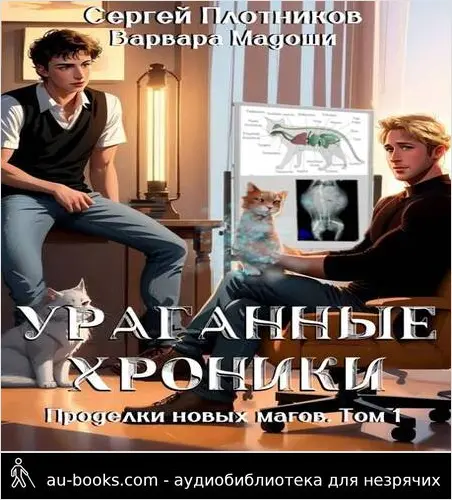 обложка аудиокниги Ураганные хроники
