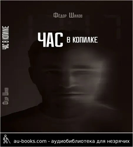 обложка аудиокниги Час в копилке