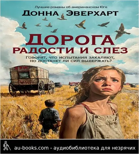 обложка аудиокниги Дорога радости и слез