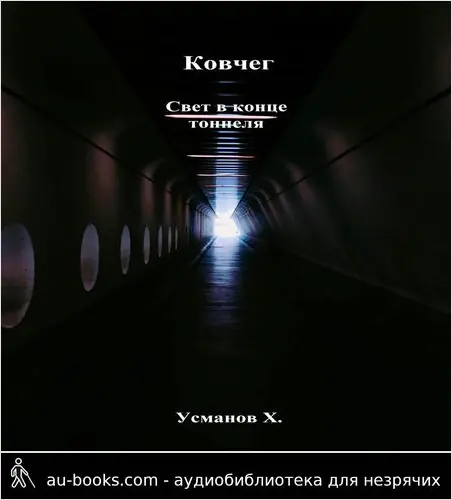 обложка аудиокниги Ковчег. Свет в конце тоннеля