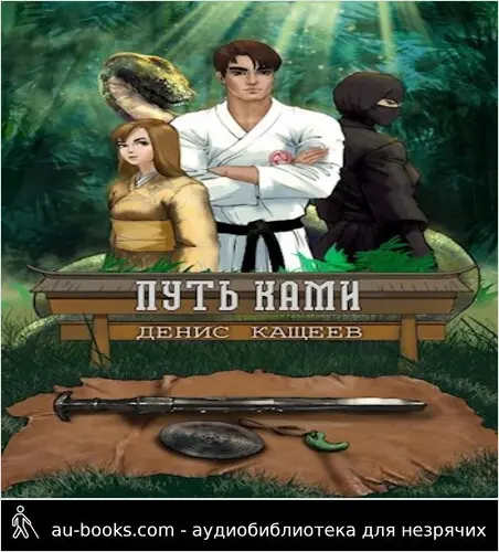 обложка аудиокниги Путь Ками