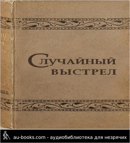 обложка аудиокниги Случайный выстрел