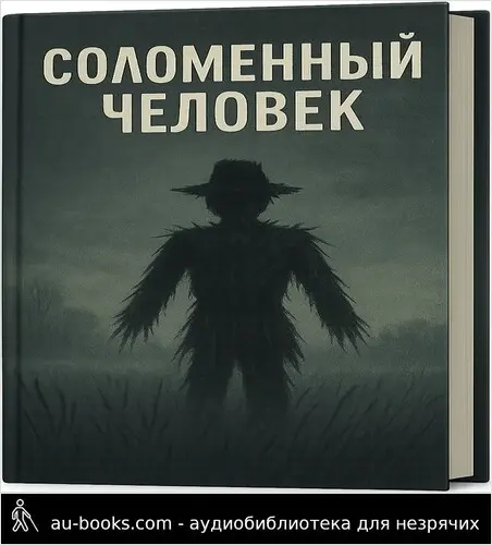 обложка аудиокниги Соломенный человек