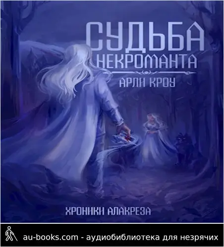 обложка аудиокниги Судьба Некроманта