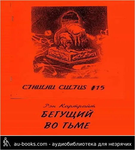 обложка аудиокниги Бегущий во тьме