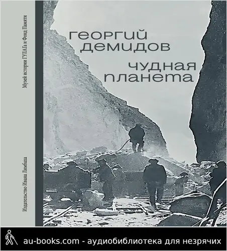 обложка аудиокниги Чудная планета. Лагерные рассказы