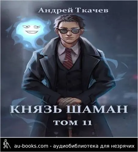 обложка аудиокниги Князь шаман. Том 11