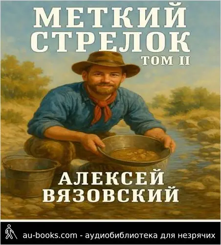 обложка аудиокниги Меткий стрелок. Том II