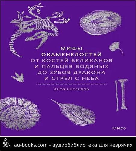 обложка аудиокниги Мифы окаменелостей