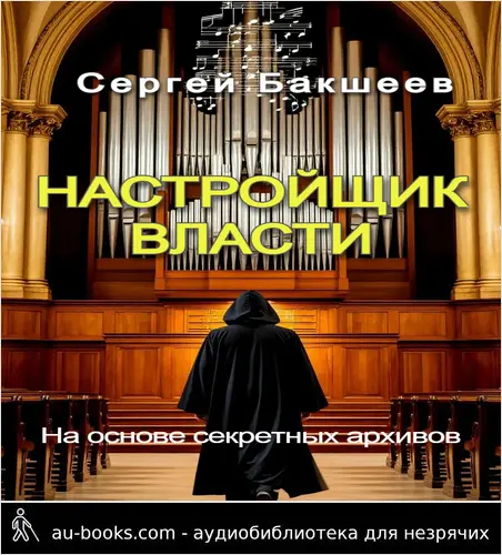обложка аудиокниги Настройщик власти