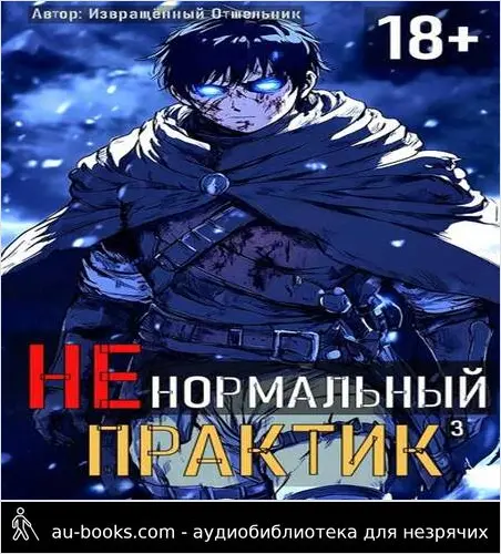 обложка аудиокниги Ненормальный практик 3