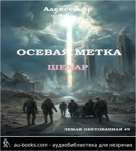обложка аудиокниги Осевая метка. Шехар