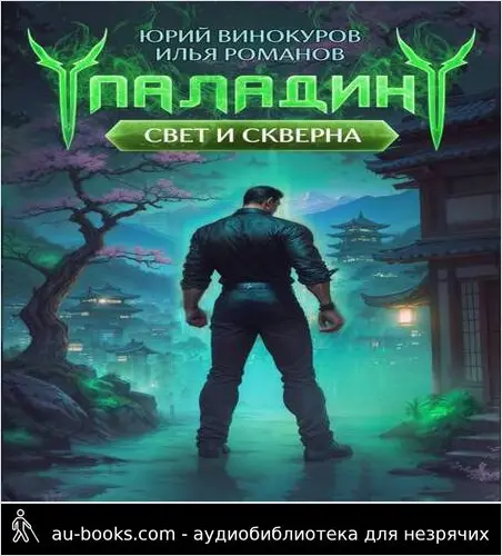 обложка аудиокниги Паладин. Свет и Скверна IV