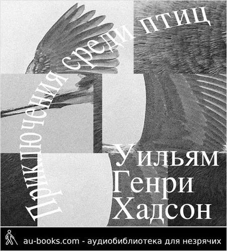 обложка аудиокниги Приключения среди птиц