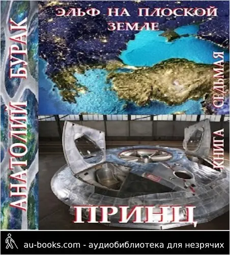 обложка аудиокниги Принц