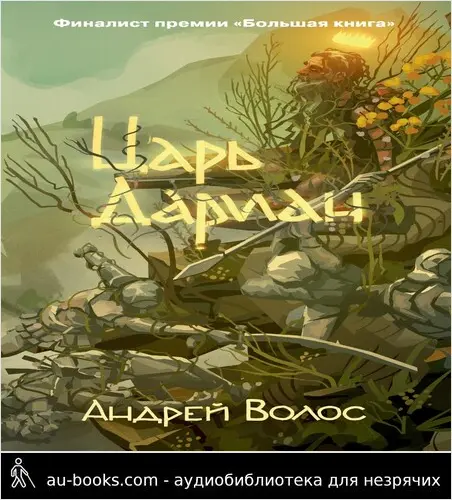 обложка аудиокниги Царь Дариан