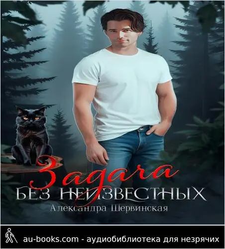 обложка аудиокниги Задача без неизвестных