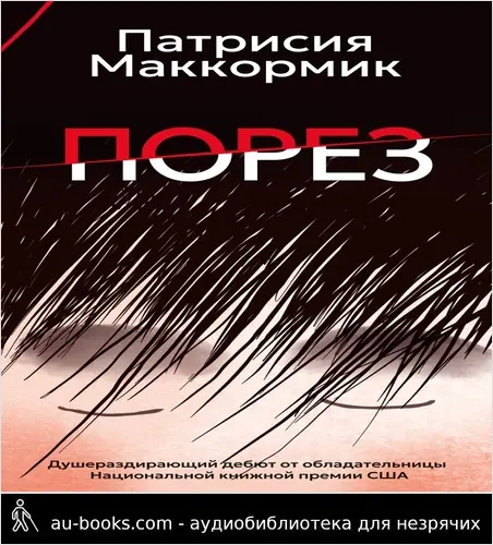 обложка аудиокниги Порез