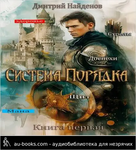 обложка аудиокниги Система Порядка