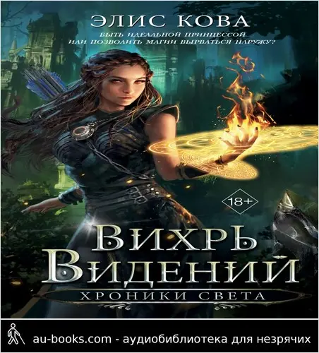 обложка аудиокниги Вихрь видений